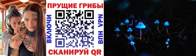 Псилоцибиновые грибы мицелий  Купить  Кинель 