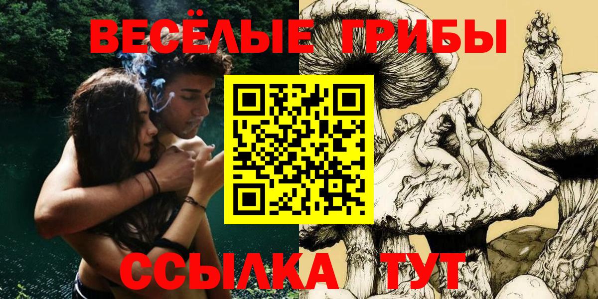 купить наркотики сайты  Псилоцибиновые грибы Psilocybine cubensis  Вход с VPN  Кинель  Псилоцибиновые грибы мухоморы 