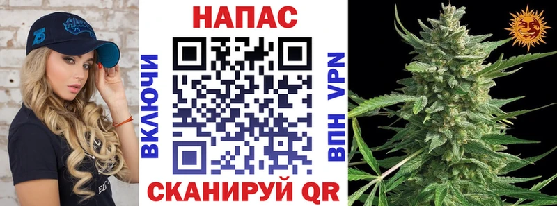Купить  Кинель  МАРИХУАНА THC 21% 